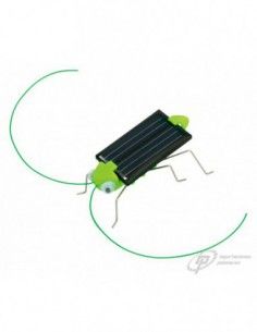INSECTO SOLAR